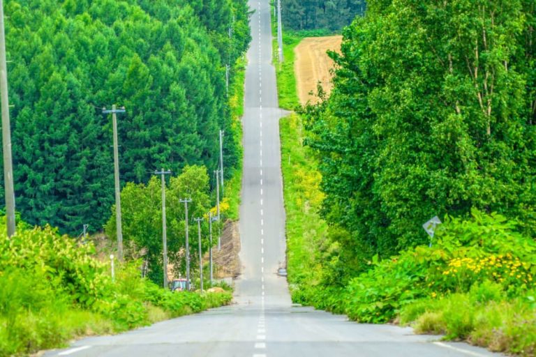 林道